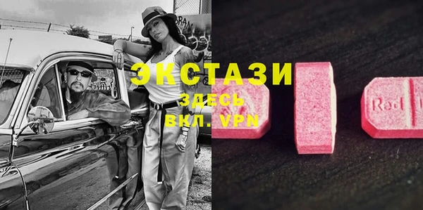 ешки Алексин
