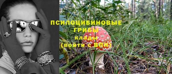 ешки Алексин