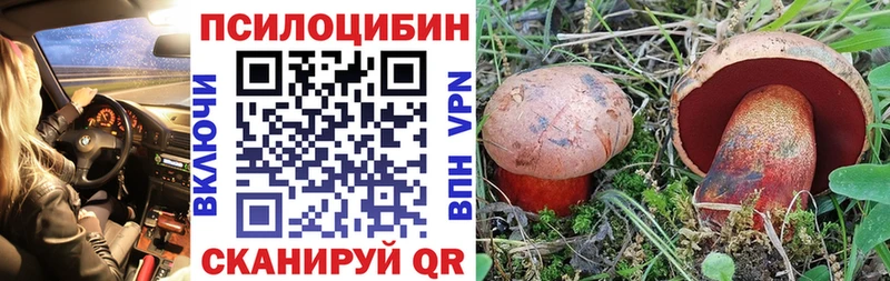 Псилоцибиновые грибы Psilocybe  наркота  Заполярный 
