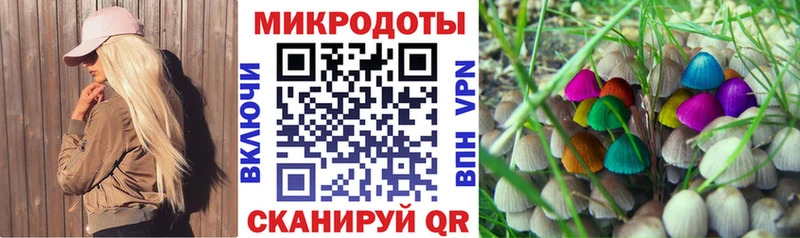 Псилоцибиновые грибы прущие грибы Заполярный